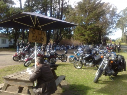 Scrounger amidst hundreds of bikes.