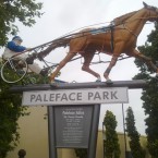 Temora is the home of Paleface Adios.