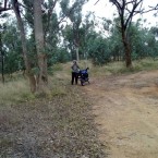 Stopped near Abercrombie Caves for some personal relief.